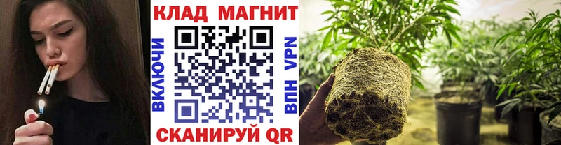 Магазины продажи наркотиков Чкаловск KRAKEN рабочий сайт  Конопля  Галлюциногенные грибы 