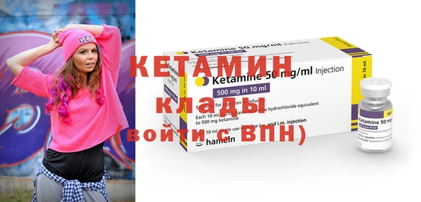 хмурый Ельня