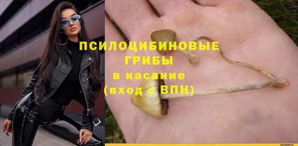 спиды Елабуга