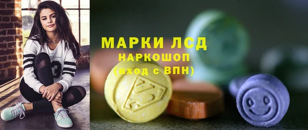 хмурый Ельня