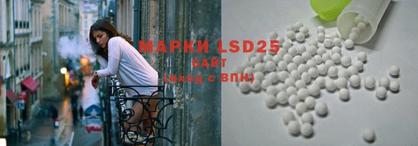 хмурый Ельня