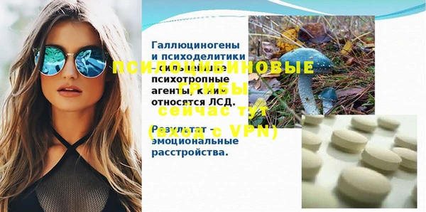 хмурый Ельня