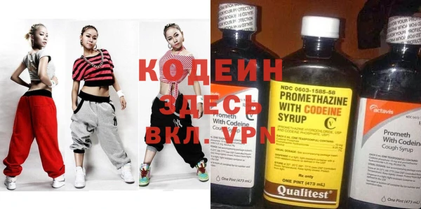 хмурый Ельня