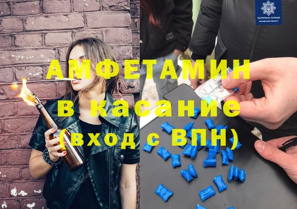хмурый Ельня