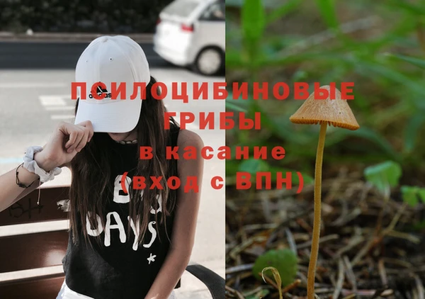 хмурый Ельня