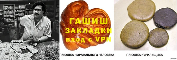хмурый Ельня
