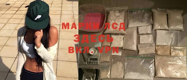 хмурый Ельня