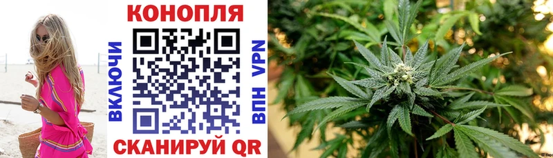 Бошки Шишки сатива  Чкаловск 